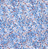 Liberty Tana Lawn™ Sun Speckle 03633108B 136cm WOF
